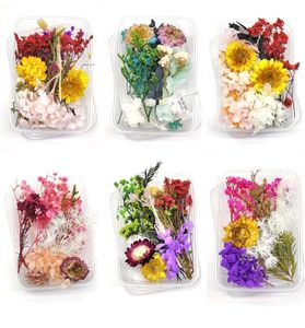 Resin Dry Flower Box Buy 2 Get One Free