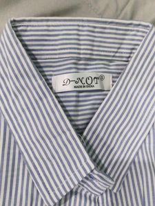 Striped Button-Down Shirt