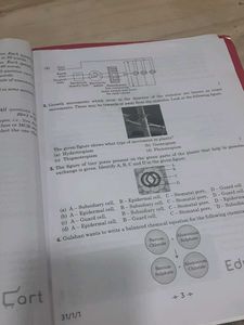 CBSE Class 10 Science Sample Papers