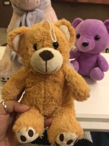 Cute Teddy Bear Trio
