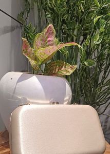 Clutch By ADiSA