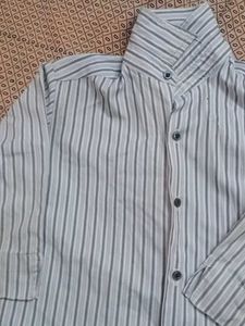 Trndy Shirt
