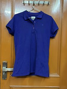 Monte Carlo Purple Bluish Colour New Product
