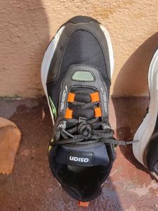 Asian Running Shoes