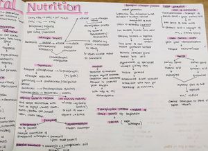 Class-11/NEET Biology Mindmap/notes