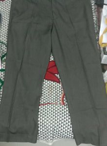 Coffee pants