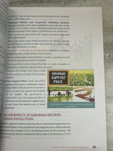 Class XII Economics Books