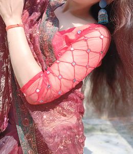 Organza Saree