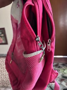 Skybags Pink Backpack