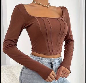 Urbanic Brown Corset Top