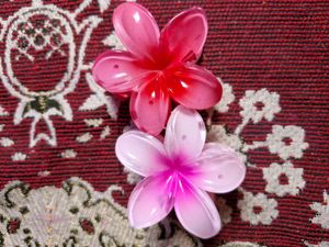 Bow And Flower Clip Combo
