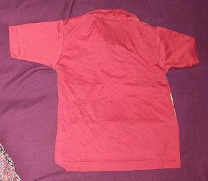 Expand Network Polo Shirt