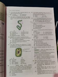 Ncert Fingertips For Neet Book