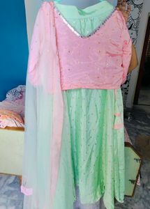 Pastel Lehanga Choli Set