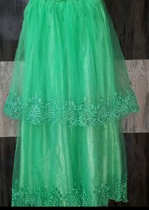 Very Beautiful Green Lehenga/Gown
