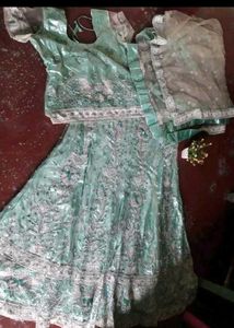 Sea Green Lehenga Choli