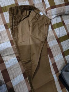 Brown Casual Pant