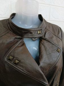 Imported Korean Brown Leather Moto Jacket