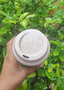 Eco-Friendly Reusable Cup
