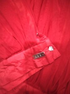 Red Coloured Elegant Skirt