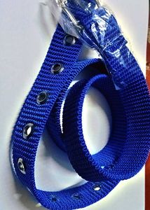 Blue Canvas Belt with Silver Buckle