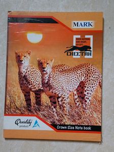 2  Different Handwriting Notebook