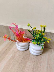 3 Inches Dry Flower Pot.