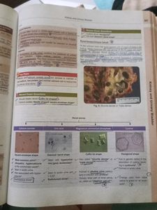 Review Of Pathology And Genetics Gobind Rai Garg