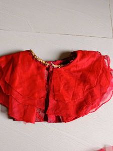 Beautiful Net Top With Skirt