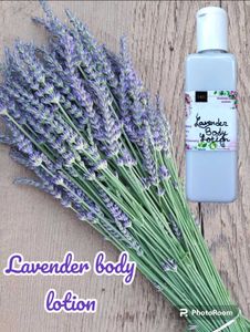 Divine Indian Beauty Lavender Lotion