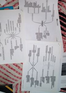 UPSC OMR sheets for practice, IIndian physical and political maps for practice, GS score UPSC syllabus in flowchart.