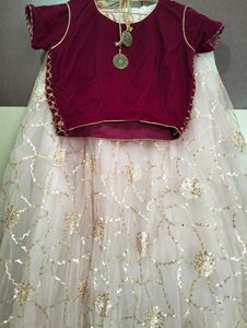 Brand New Lehenga Choli