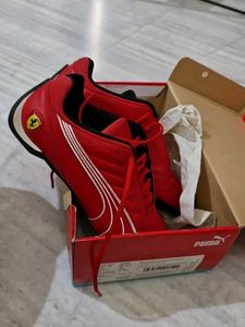 Puma Ferrari Theme Sneakers With Box