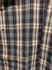 Banana Republic Gingham Shirt S