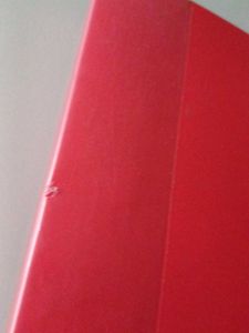 Folder With Transparent Plastic Sleeves