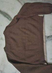 Jungle Graphic Sweatshirt 🤎