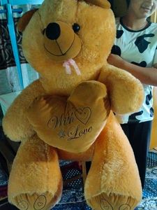 Teddy Bear 🐨