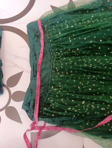 Green Embellished Lehenga Choli