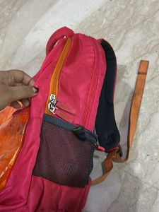 Skybags Backpack/school Bag