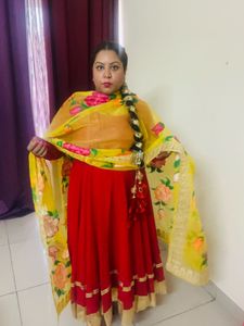 Floral Hand Painted Organza  Print Dupatta