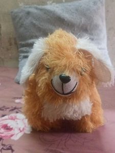 Teddy 🐕 Dog