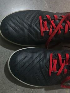 Unisex Sports /Regular Shoes