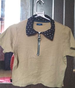 Tan Polo with Polka Dot Collar