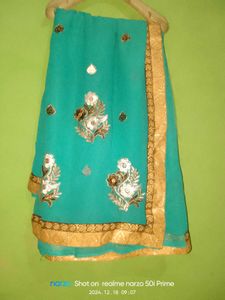 New Georgett Saree With Bottom Work