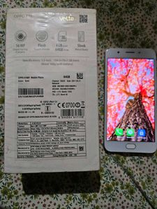 4/64 Oppo F1s [Price Negotiable]