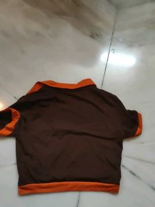 Circle Graphic Top