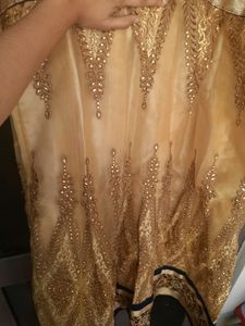 Lehenga(coins Or Swap Accepted)