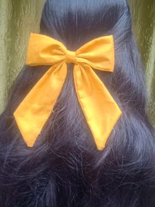 Hair Clip