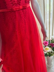 Luxury Shimmery  Red Gown