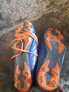 Sport Shoes